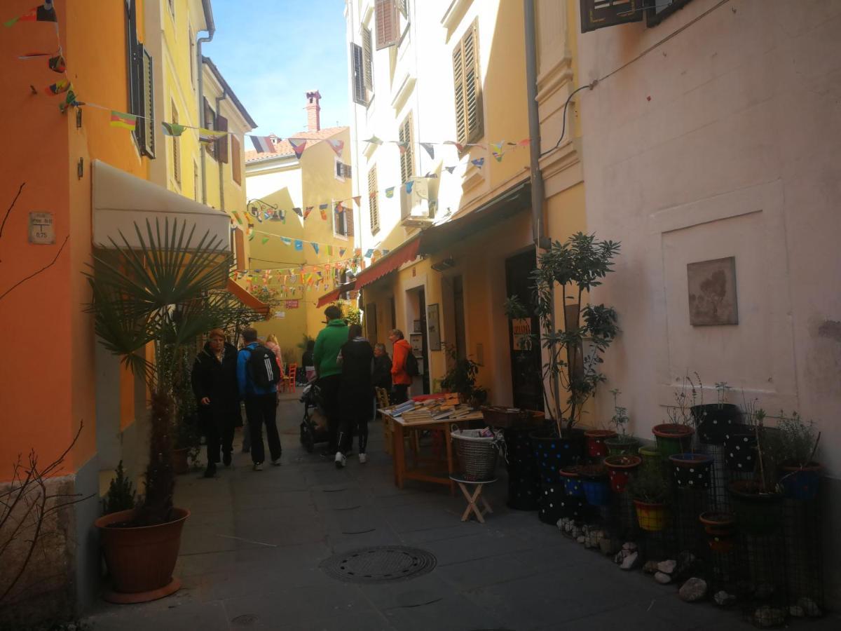 Millenca Apartment Izola Exterior photo